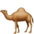 Camel Left